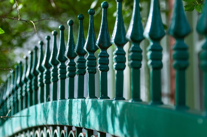 Outdoor Plant Wall